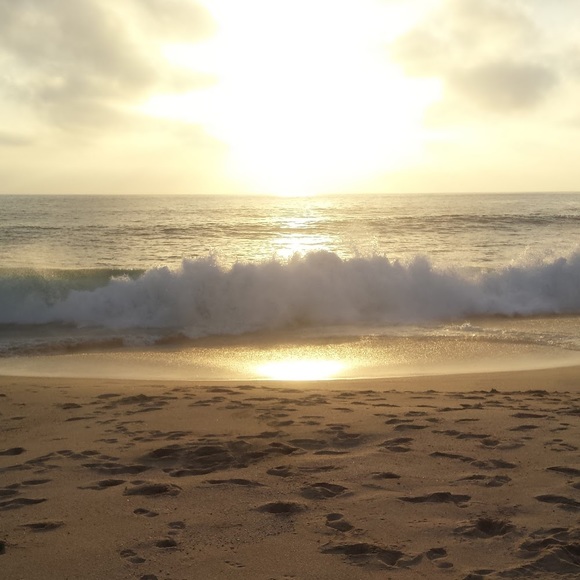 Meet your Posher, Ashlyn - Picture 1 of 1